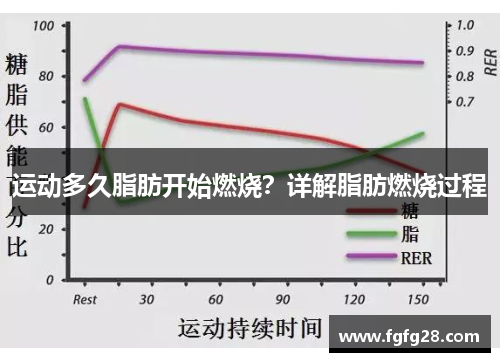 运动多久脂肪开始燃烧？详解脂肪燃烧过程