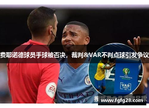 费耶诺德球员手球被否决，裁判&VAR不判点球引发争议
