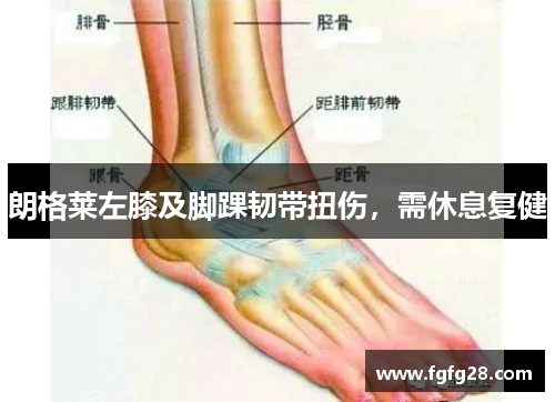 朗格莱左膝及脚踝韧带扭伤，需休息复健